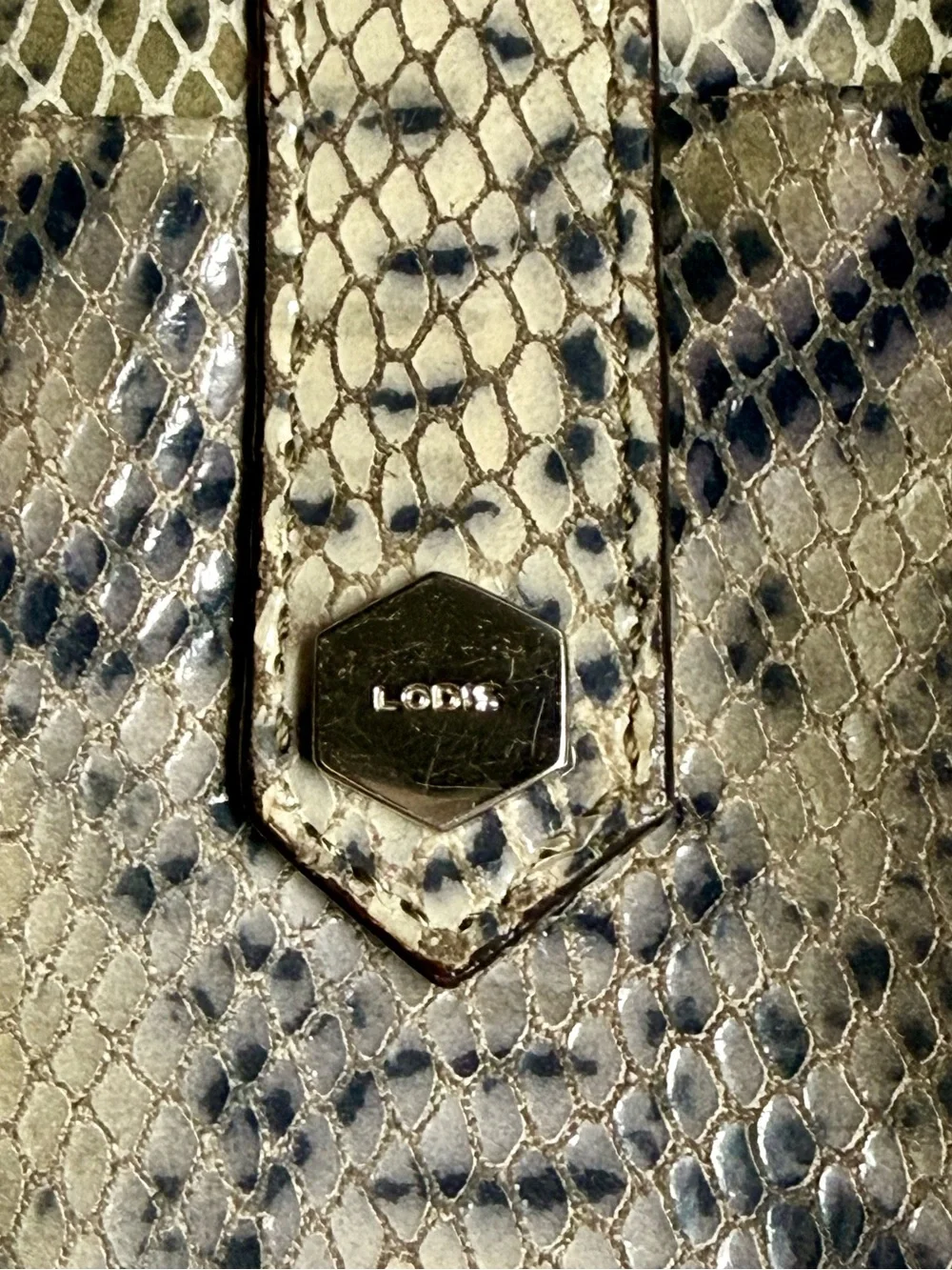 Lodis Julia Long Stacker Leather Card Case - Multicolored Python / Snake Print